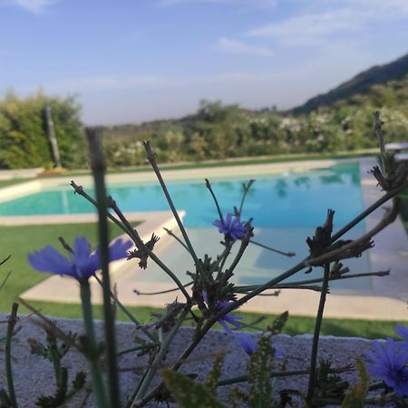B&B Badde Tale Ossi Dış mekan fotoğraf